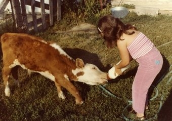 Mellisa bottle-feeding a calf