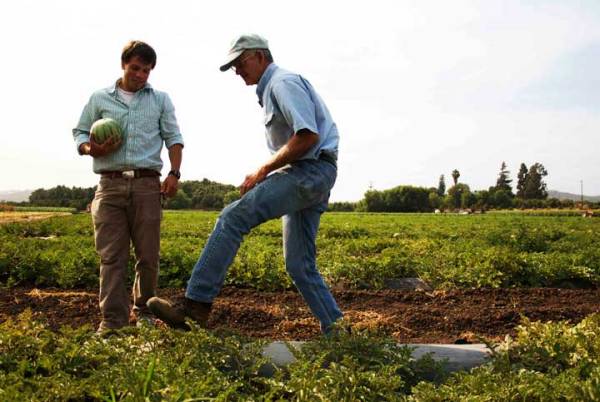 In Organic We Trust Watermelon Farm