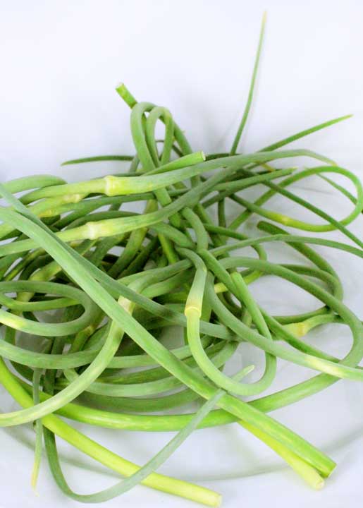 scapes